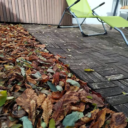 Apartmán 65qm Mit Innenhof - Netflix - Gameroom - Wlan - - Ps3 - Populaere Umgebung 'lindener Berg' *